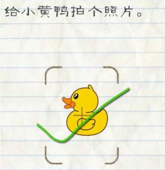 关键时刻别单打格林